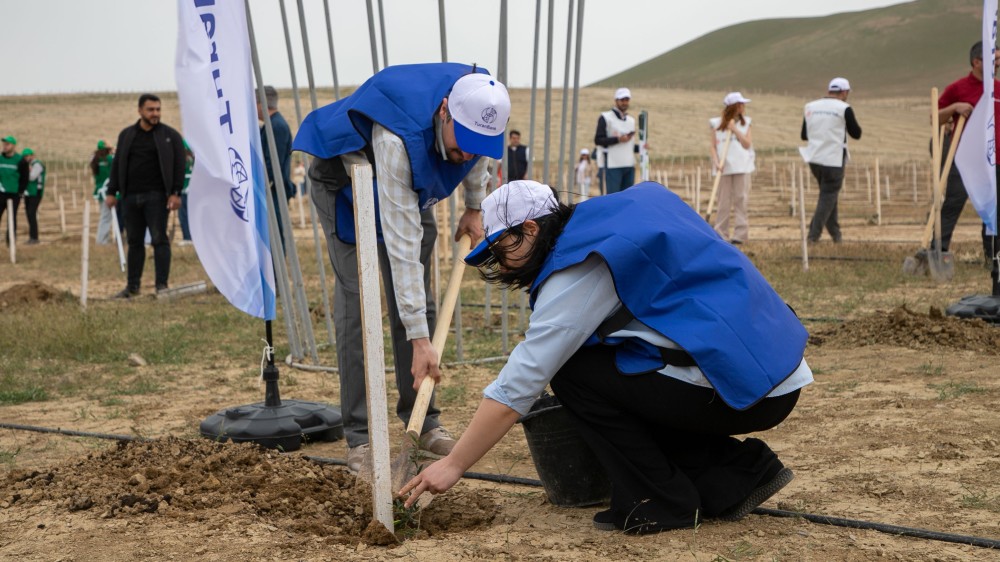 TuranBank ağacəkmə aksiyasında iştirak edib